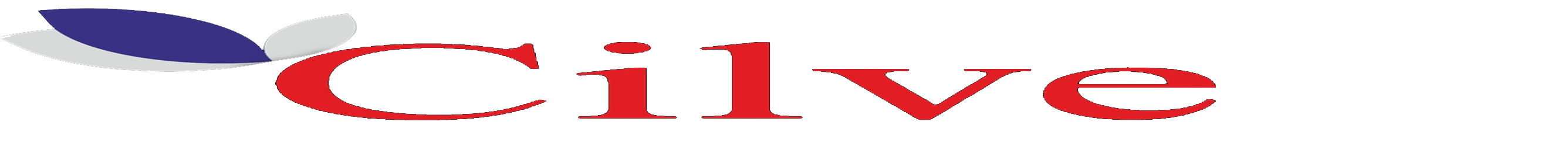 Bedava Sohbet ve Mobil Sohbet Odaları – Cilve.NET yakışıklılar ile sohbet etmek isteyen bayanlar Buraya girmelisiniz!